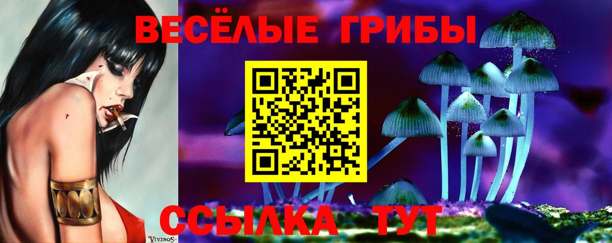 Псилоцибиновые грибы мицелий  Галлюциногенные грибы Psilocybine cubensis  Вход с VPN  Брянск 