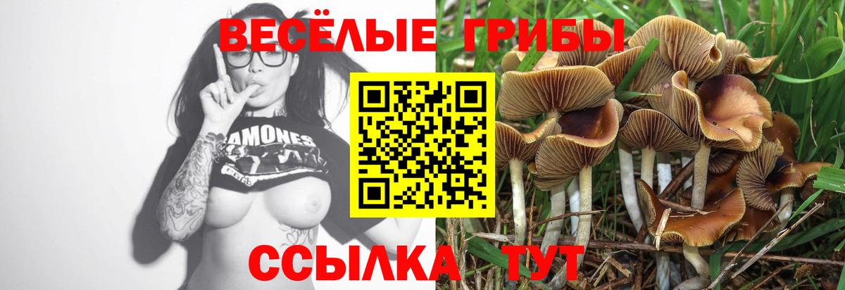 ЭКСТАЗИ  Cocaine  Гашиш  Где продают наркотики?  Брянск  Вход с VPN  МЕТАДОН  LSD-25  Меф кристаллы  МАРИХУАНА  МЕФ 