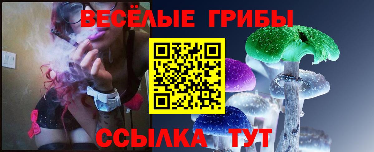 Псилоцибиновые грибы MAGIC MUSHROOMS Брянск